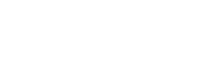 DonLuis logo white 2