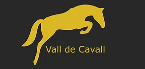 VALLDECAVALLLOGO
