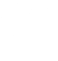 Paseo White Transparent 002