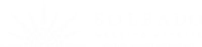 logo 01 400x93